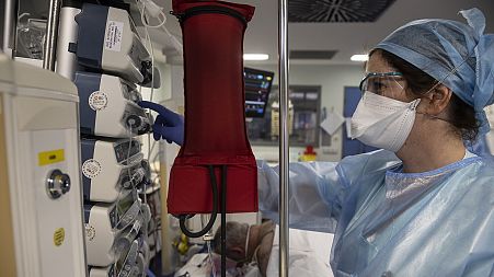 A nurse tends to a COVID patient in the intensive care unit at the Strasbourg University Hospital, eastern France, Thursday Jan. 13, 2022.