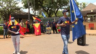 Ethiopians from Tigray demonstrate outside the US embassy in Pretoria