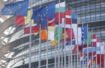 نواب في البرلمان الأوروبي يطالبون بـفرض "نظام عقوبات" ضد المعلومات المضللة