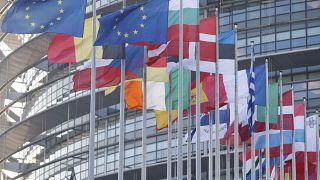 نواب في البرلمان الأوروبي يطالبون بـفرض "نظام عقوبات" ضد المعلومات المضللة