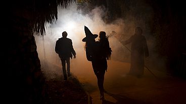 A woman dressed up as a witch during Halloween celebrations near Malaga in 2017.