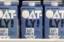 The plant-milk brand has been warned not to repeat some of its adverts.