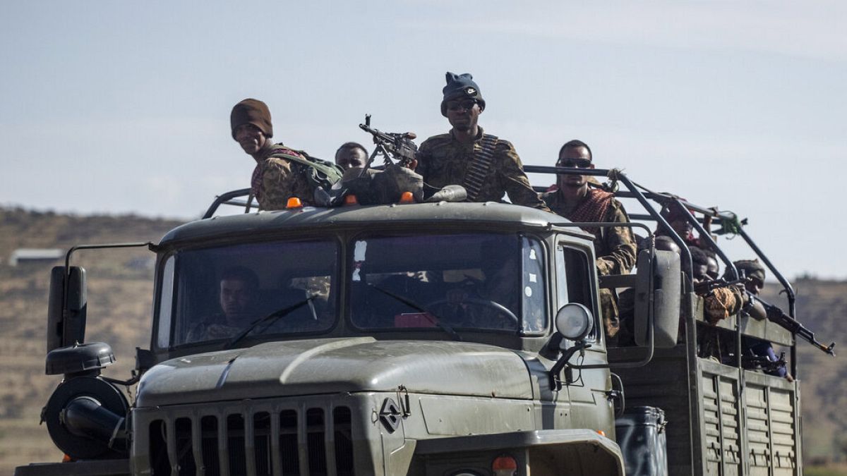 Etiyopya ordu güçleri (Arşiv)