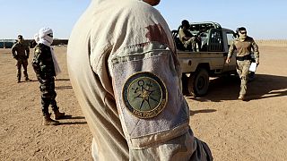 The European task force Takuba has been training with Mali's FAMA soldiers in the Sahel region.