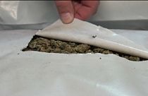 Detidos cinco homens em apreensão de droga na Sérvia