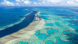 Австралия даст миллиард на спасение кораллов