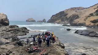 Perú invitó a especialistas de la ONU para que recorrieran las playas afectadas