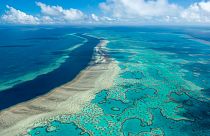 Avustralya'nın doğusundaki Büyük Bariyer Resifi