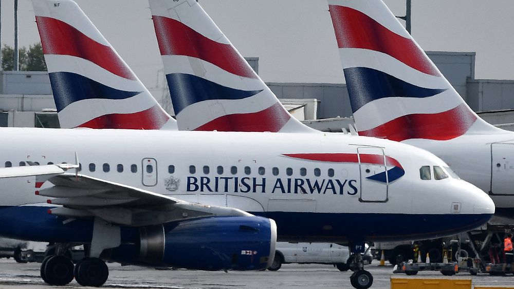ba-planes-found-to-have-insect-infestations-report-reveals