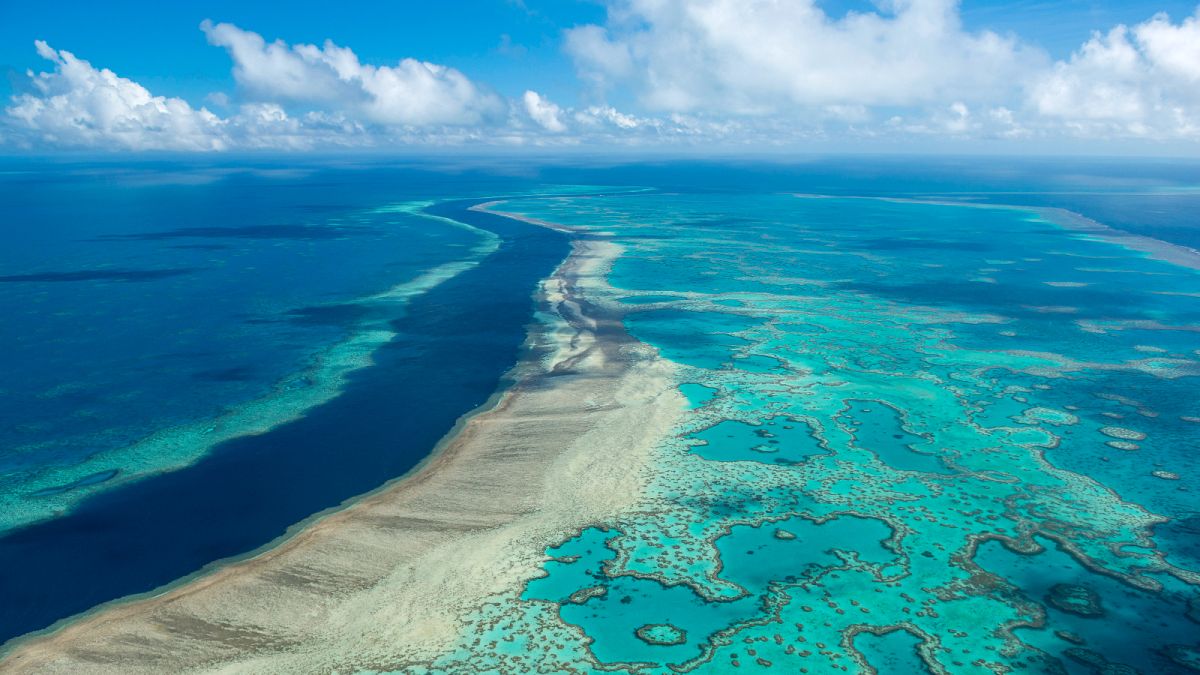 In this photo provided by the Great Barrier Reef Marine Park Authority the Hardy Reef is viewed from the air near the Whitsunday Islands, Australia, June 22, 2014. 