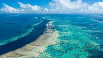 In this photo provided by the Great Barrier Reef Marine Park Authority the Hardy Reef is viewed from the air near the Whitsunday Islands, Australia, June 22, 2014. 