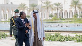 Ethiopia's PM Abiy in the United Arab Emirates on state visit