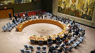 Ukrainekrise im UN-Sicherheitsrat - USA erhöhen Druck, Russland fordert Sicherheitsgarantien