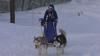 Una paricipante en la carrera de perros de trineo de Fominskie Paws, Tutaev, Rusia 29/1/2022