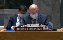 Ukraine-Krise vor UN-Sicherheitsrat -"größter Aufmarsch in Europa seit Jahrzehnten" oder "Hysterie"?