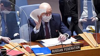 L'ambassadeur russe à l'ONU, Vasily Nebenzya, s'adressant au Conseil de sécurité des Nations unies, avant un vote, lundi 31 janvier 2022.