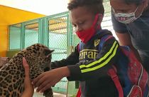 Cuban children with disabilities pet jaguar cub