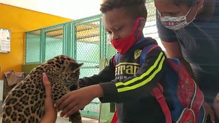 Cuban children with disabilities pet jaguar cub