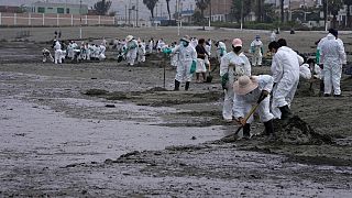 A perui olajszennyezés eltakarítása 2022. január 20-án