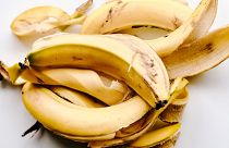 Using banana skins, scientists have found a new way to produce energy from biomass.