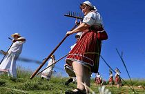 Men and women wearing tarditional clothes work on a meadow to mow in a traditional way in Mala Vrbka, South Moravia, 80 km southeast from Brno, Czech Republic, on June 13, 201