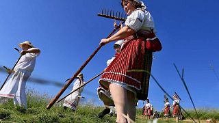 Men and women wearing tarditional clothes work on a meadow to mow in a traditional way in Mala Vrbka, South Moravia, 80 km southeast from Brno, Czech Republic, on June 13, 201