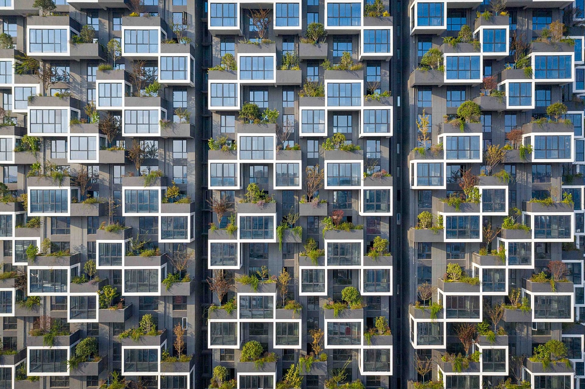 Take a look inside China's first vertical forest - home to 500 people ...