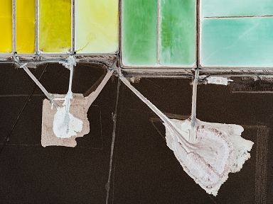 Tom Hegen