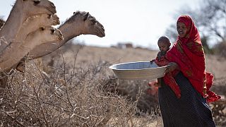 Millions at risk as drought threatens the Horn of Africa