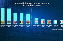 Inflazione: paesi virtuosi e meno virtuosi nella Zona Euro.
