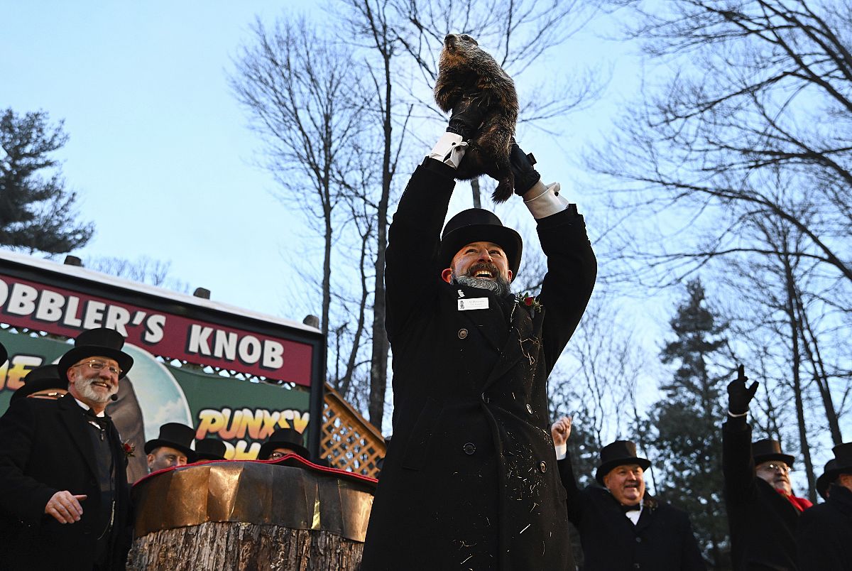 Groundhog Day: The European origins of the bizarre US tradition | Euronews