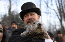 The Groundhog Day tradition in Punxsutawney dates back to the 1880s 