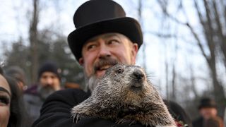 The Groundhog Day tradition in Punxsutawney dates back to the 1880s 