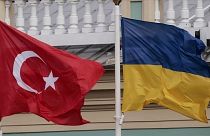 Türkiye - Ukrayna bayrakları (arşiv)
