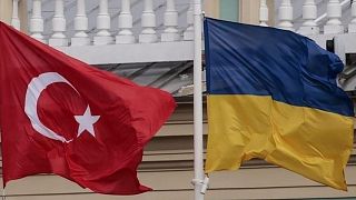 Türkiye - Ukrayna bayrakları (arşiv)