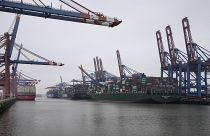 Container ships are seen at the Terminal Burchardkai at the German port in Hamburg.