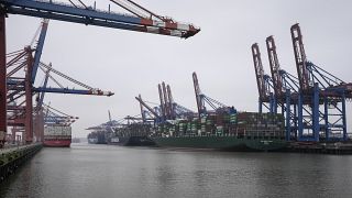 Container ships are seen at the Terminal Burchardkai at the German port in Hamburg.