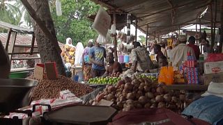 Mozambique: Life gradually returns to Palma town