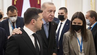 Реджеп Тайип Эрдоган и Владимир Зеленский в ходе встречи в Киеве 3 февраля 2022