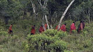 Le Parlement kényan étudie un texte "fragilisant" la protection des forêts