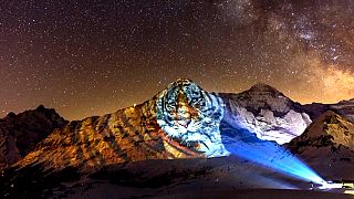 Um animal de poder gigante brilha na face norte do Eiger - uma mais lendárias montanhas da Suíça
