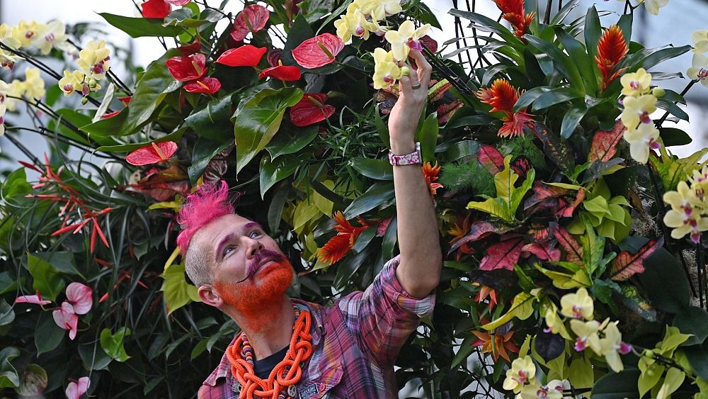 Photo of Más de 5.000 flores de orquídeas costarricenses transforman tropicalmente los Kew Gardens de Londres