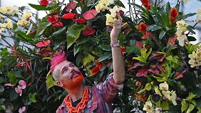 Kew Gardens' 26th orchid festival will celebrate the rich and colourful culture of Costa Rica