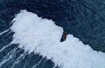 Selon l'ONG Sea Shepherd, plus de 100 000 poissons morts ont été rejetés à la mer à 300 km de La Rochelle