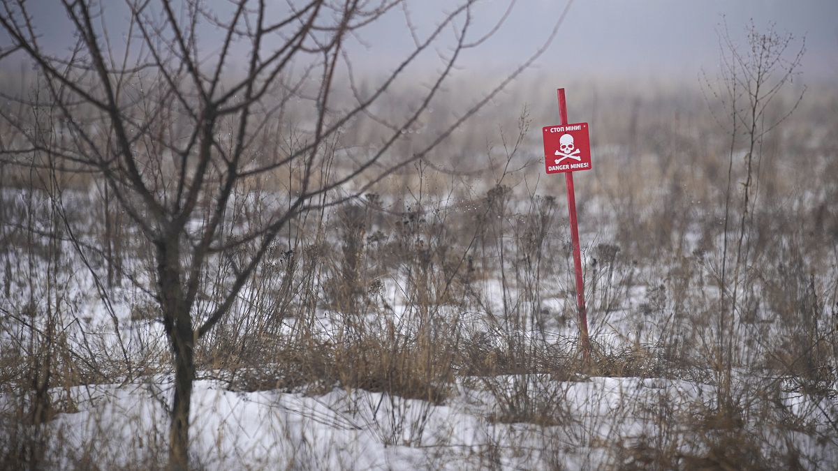 Minefields separate the areas controlled by the Ukrainian military and pro-Russian separatists.