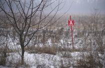 Minefields separate the areas controlled by the Ukrainian military and pro-Russian separatists.
