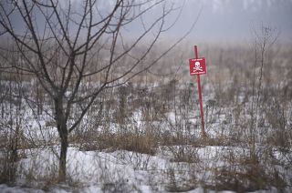 Minefields separate the areas controlled by the Ukrainian military and pro-Russian separatists.