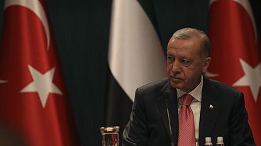 Turkey's President Recep Tayyip Erdogan attends a ceremony at the presidential palace, in Ankara in November 2021