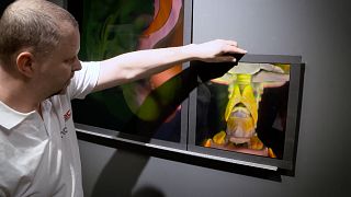 Researchers in Hungary are reinventing holograms  and are hopeful the technology could have useful medical applications.