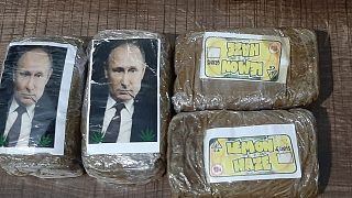 صور الرئيس الروسي وجدت على نحو 300 رزمة حشيش تمت مصادرتها 